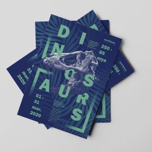 Flyers and Leaflet DL